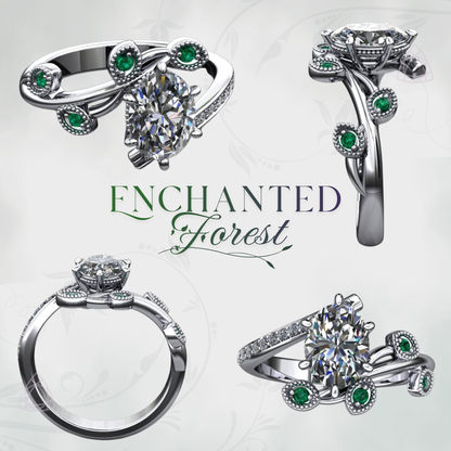 Enchanted Forest