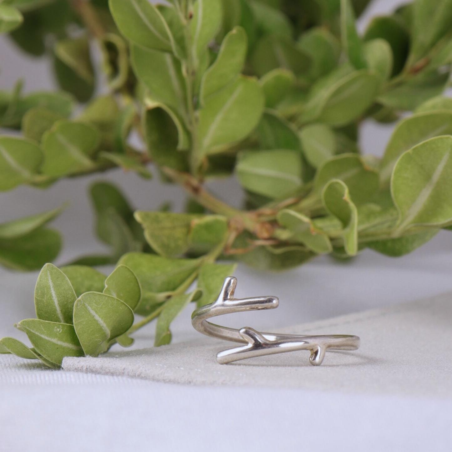 Willow Branch Rings
