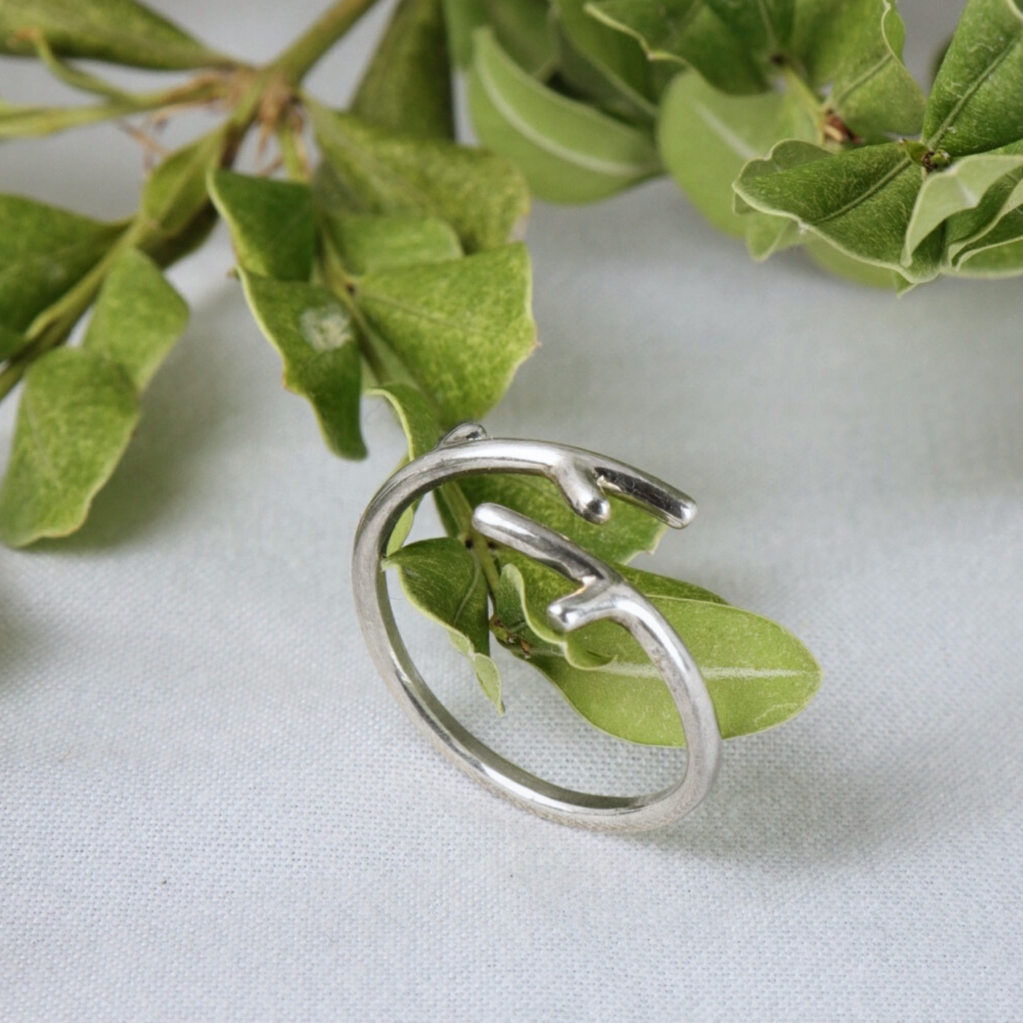 Willow Branch Rings